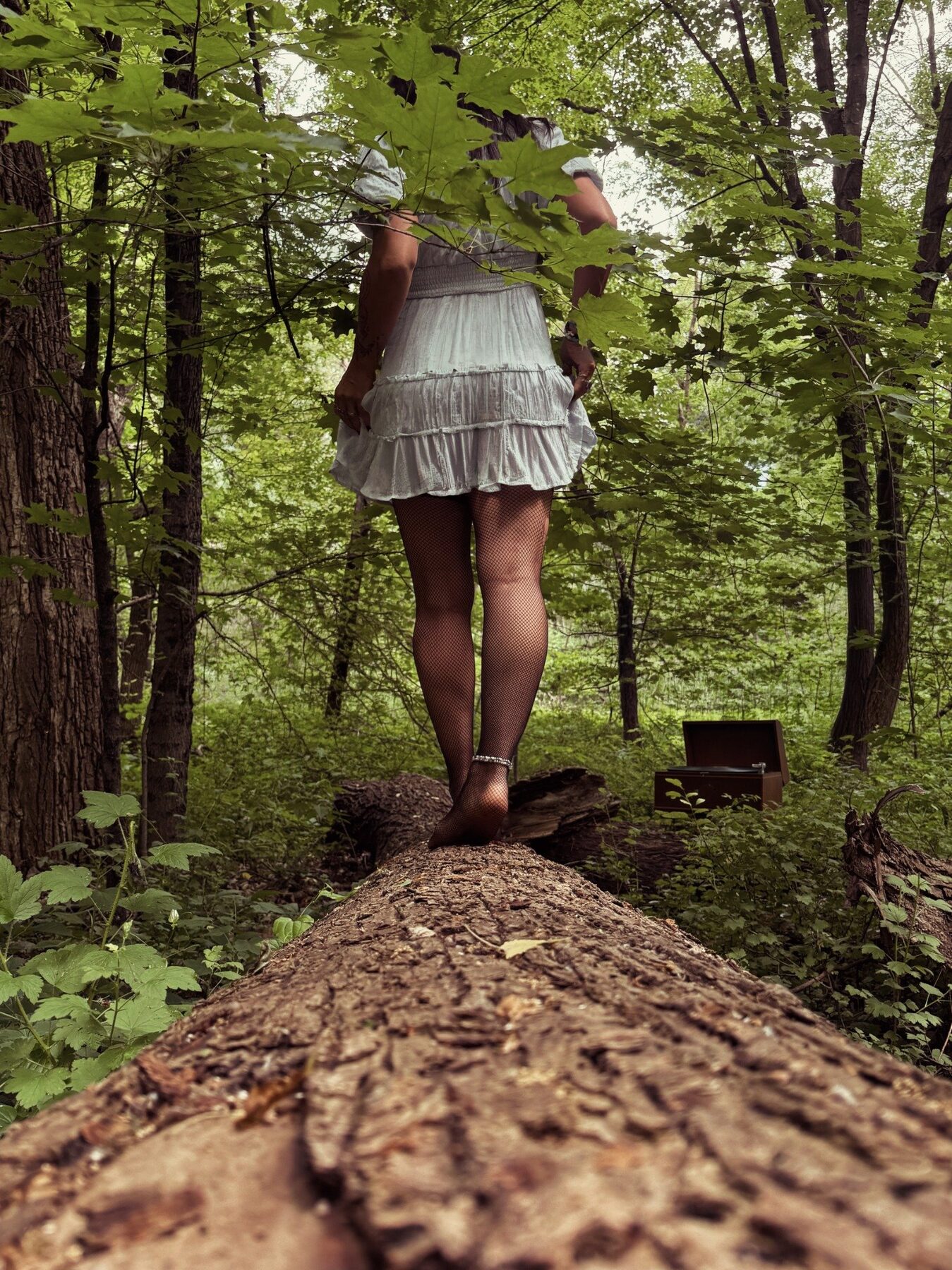 Seniors photography by Muddy Flowers